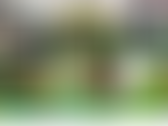 What are the Different Types of Landscape?