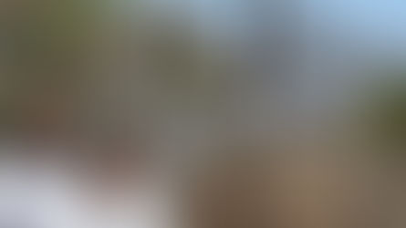 A Country In A Country