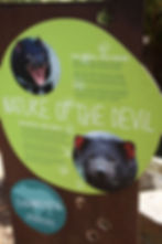 ree