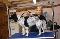 web-pictures-021