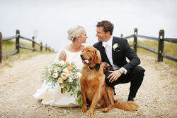 dogs-in-weddings-family-portrait