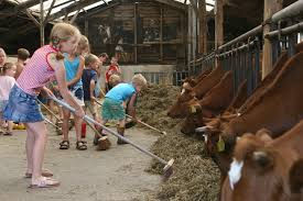 De steenuil, doe-spel-boerderij