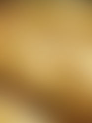 O CHEIRO DO PÃO - A PRODUÇÃO CURIOSA E A SANTA DISTRIBUIÇÃO, ANTES DA CHEGADA DOS VENENOS