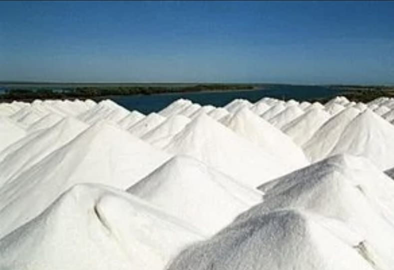 SALINEIRO DO SOL BRILHANTE FOI DESEMPREGADO PELAS MÁQUINAS E EXPLORADO ATÉ IR AO SINDICATO