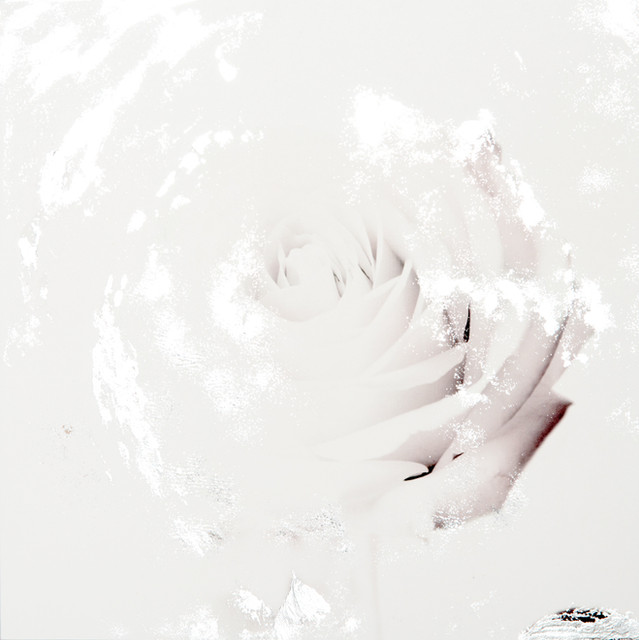 Flash/Rose(front) WH