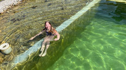 Schwimmteich_3a_1.jpeg