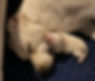 IMG_7553.jpeg