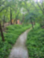 528593197_10235551288221331_2360785503672966987_n