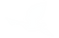 watermark