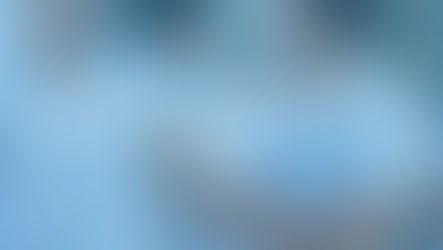 Bourse master de la SFA 2023 : bravo au lauréat !