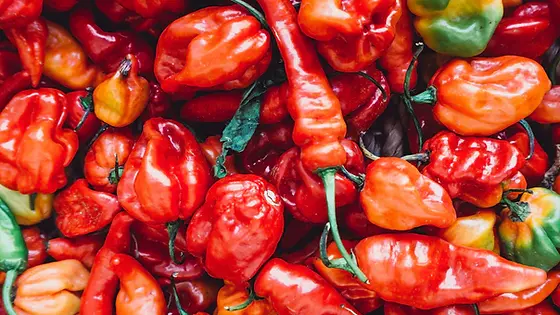 Spicy Sauce