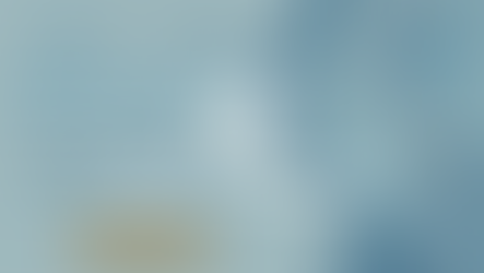 Le Replay du webinaire du 25 juin 2024 est disponible 