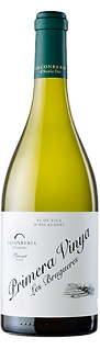 Blanc Primera Vinya Les Brugueres_edited.png