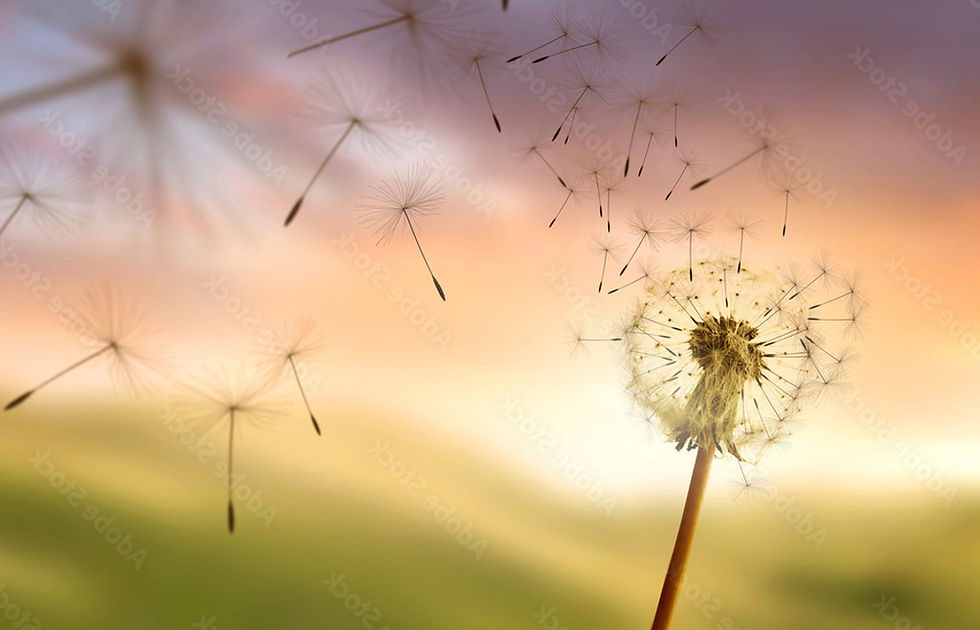 Screenshot 2025-11-05 at 6.30_edited.jpg