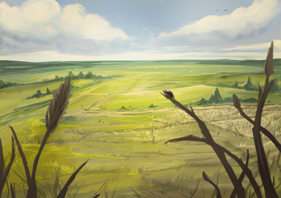 Plains