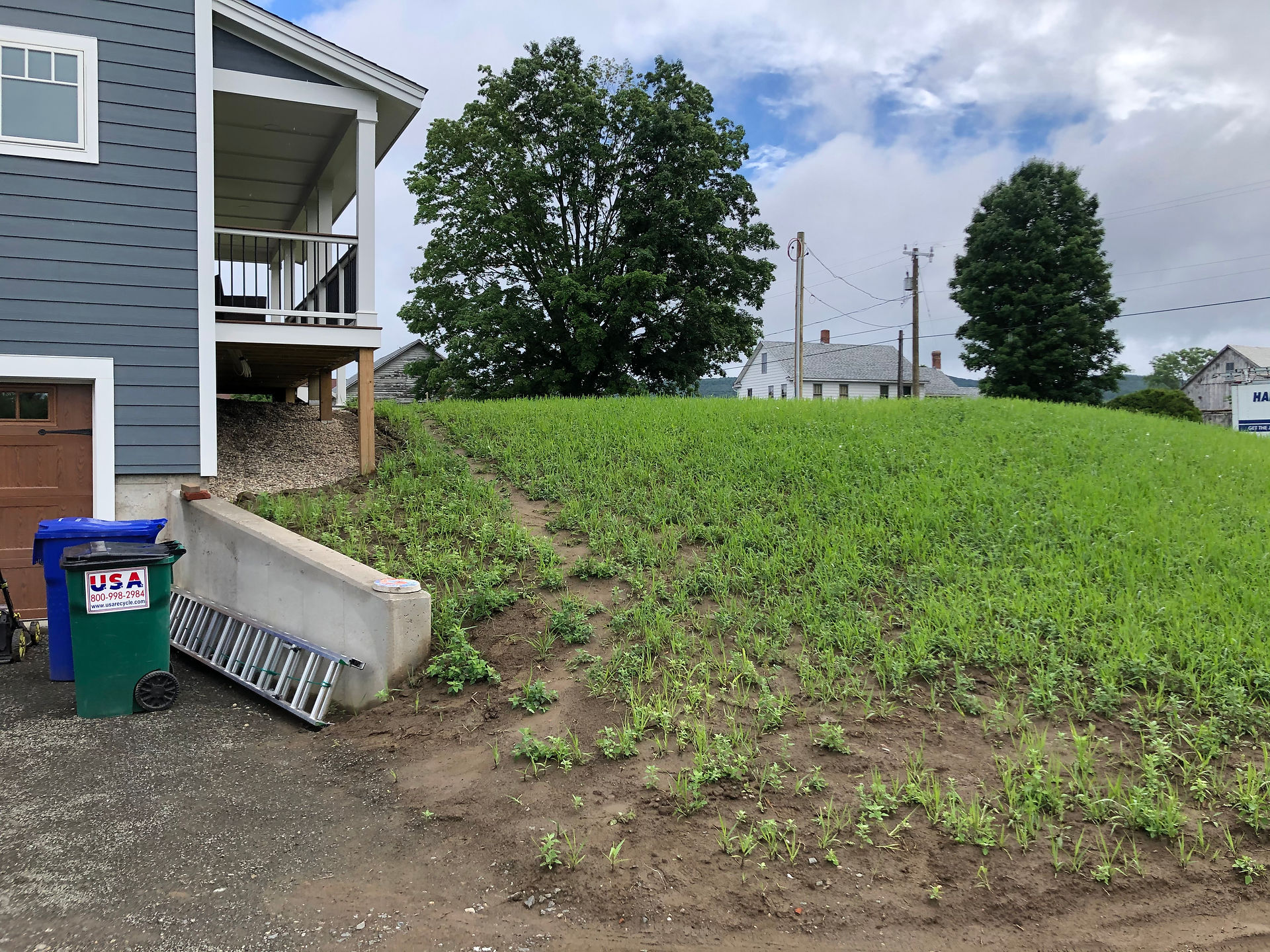 before new landscaping