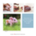 Thumbnail: Needle-Felted Pig pattern, needle felting tutorial, digital PDF download