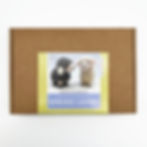 Thumbnail: Needle Felting Kit: Spring Lambs