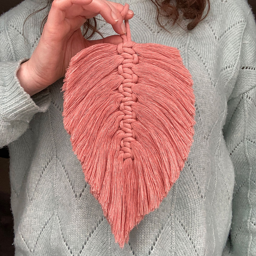 Thumbnail: Macramé Feather Kit - Pink