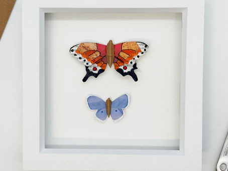 two paper butterflies - one orange, one pale bliue, mounted in a white frame.