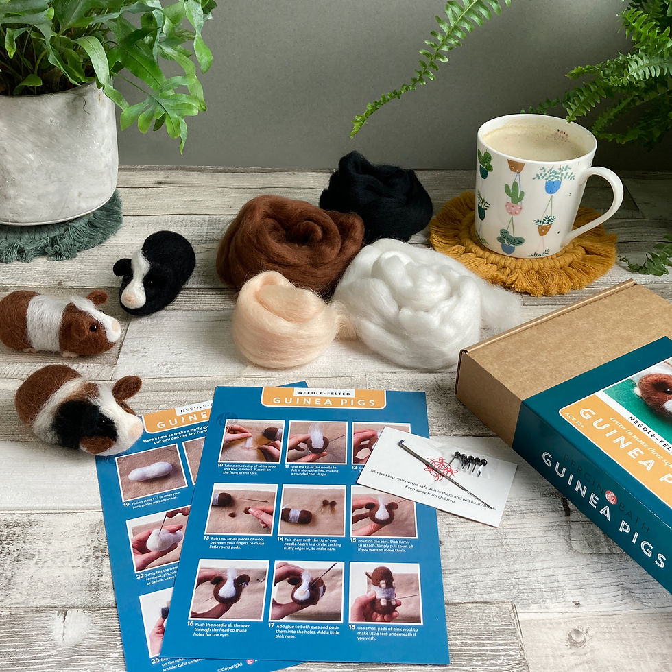 Thumbnail: Needle felting kit - Guinea pigs