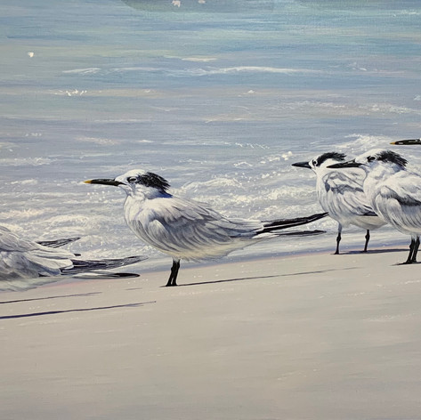 The Tern Squad | Acrylic | 24” x 48”