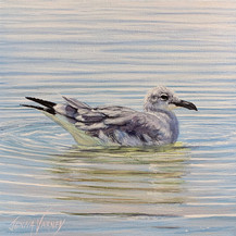Bird Bath | Acrylic | 10” x 10”