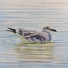 Bird Bath | Acrylic | 10” x 10”