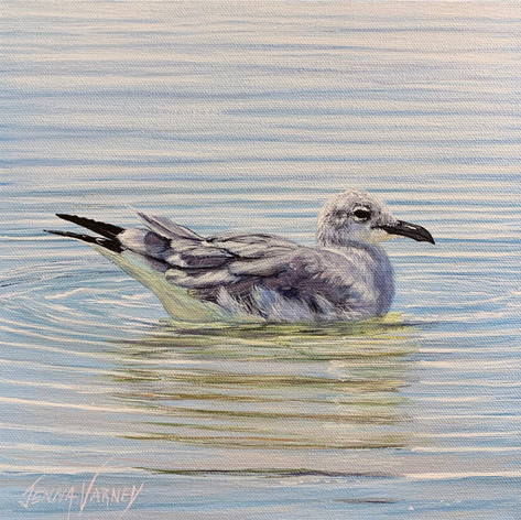 Bird Bath | Acrylic | 10” x 10”