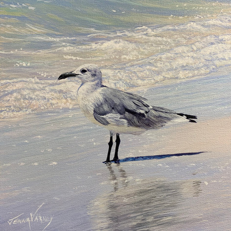 Seagull In Surf | Acrylic | 10” x 10”