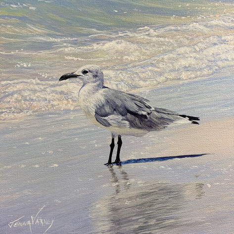 Seagull In Surf | Acrylic | 10” x 10”