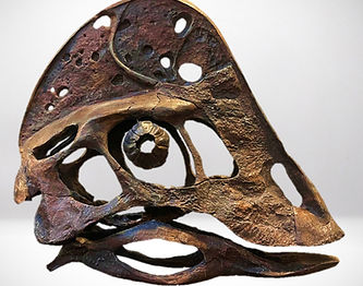 Fossilized dinosaur skull with large, bony crest, intricate details.