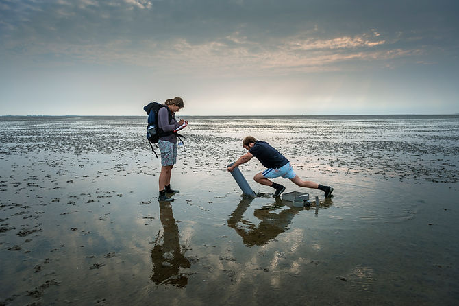 KVDV-20130726-NIOZ Waddenzee 335.jpg
