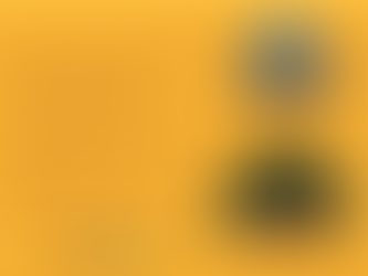 Brazilian Edition Poso Wells