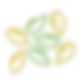 6 Semenetes.webp