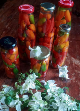 Teremos Mercadito no próximo Inti Raymi