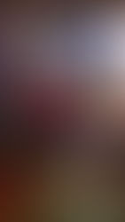 Como foi o Festival do Mel