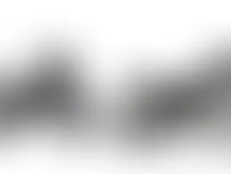 Royal Enfield Himalayan 411 vs 450: What's the Difference?