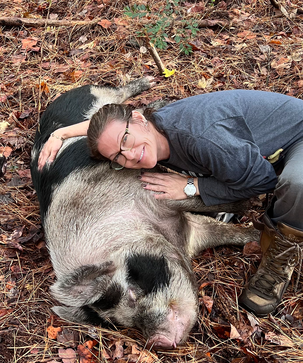 Thumbnail: Idaho Pasture Pigs-Registered Breeder deposit  Non-refundable 