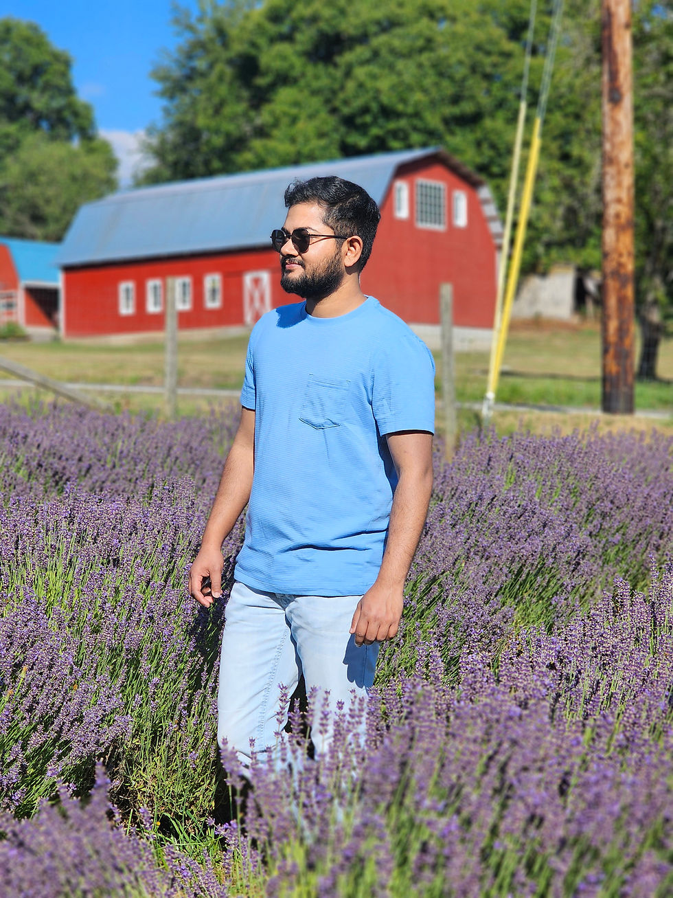 Wandering through lavender rows in the PNW