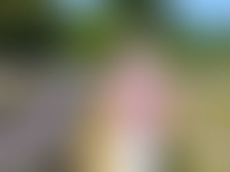 💜 Top 5 Lavender Farms Near Portland, OR You Need to Visit This Summer (2025)