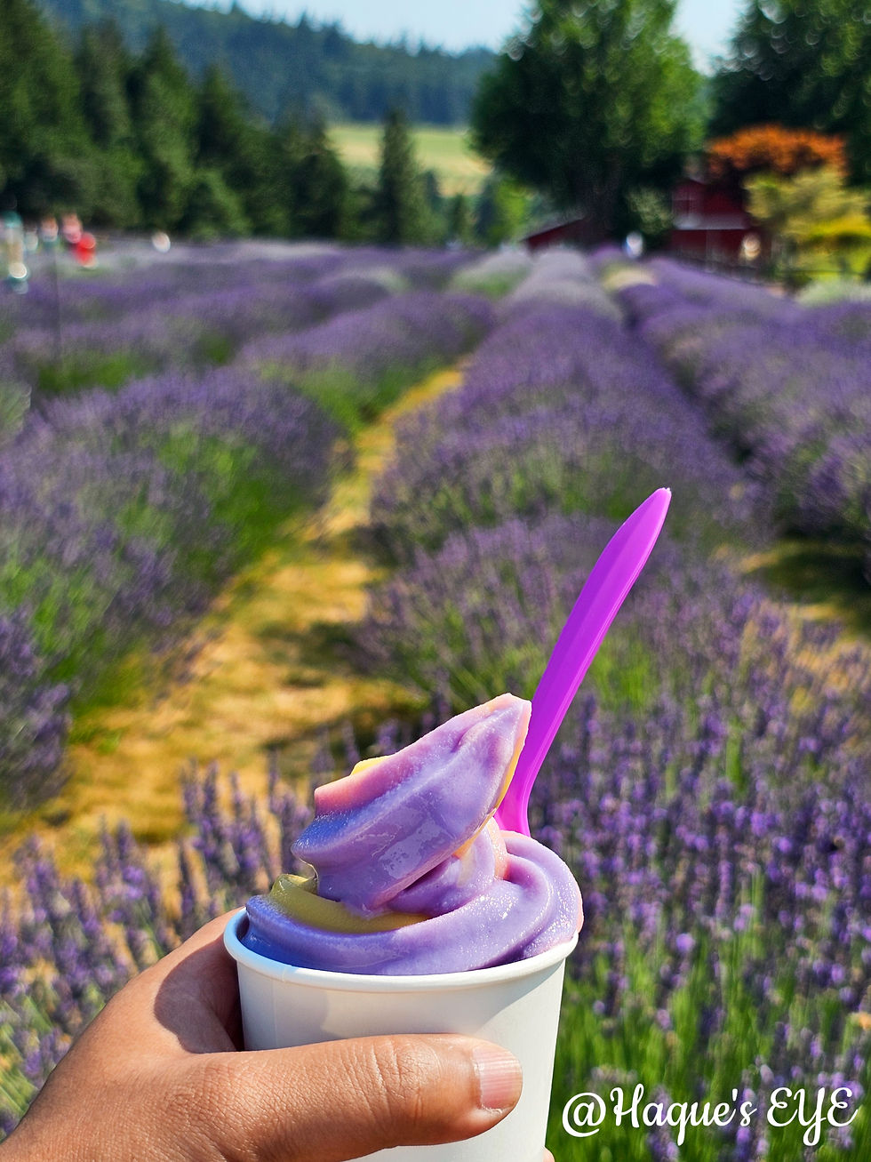 Lavender ice cream and farm views?
