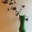 Thumbnail: Clematis Tak