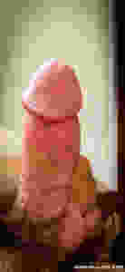 A hard cock