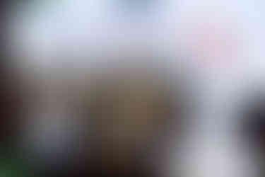 Prof Gary Lau Yeung represented HKU Stroke and ReMobility receiving ATEC cert