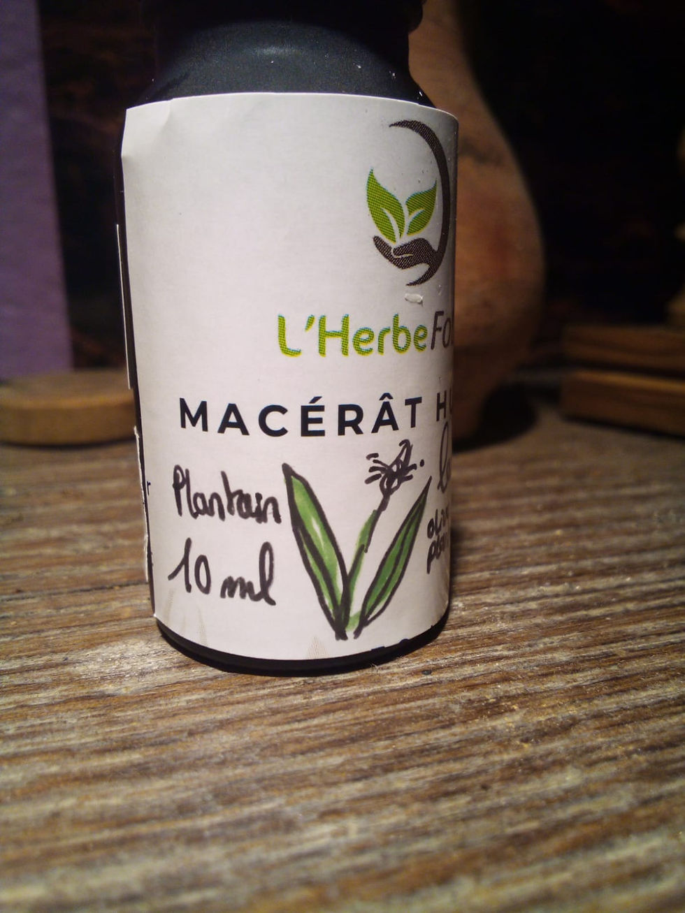 Miniature : Mon précieux macérât huileux: Plantain Lancéolé