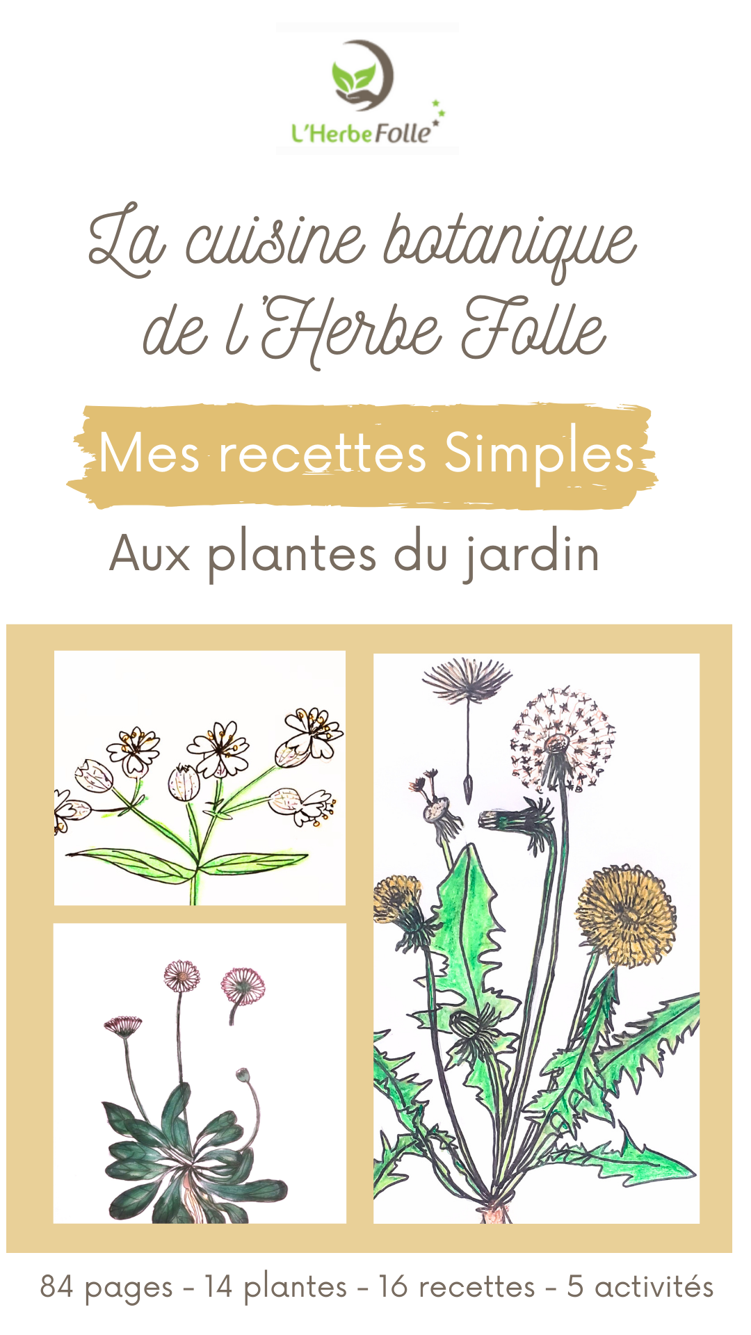 La cuisine botanique de L'Herbe Folle