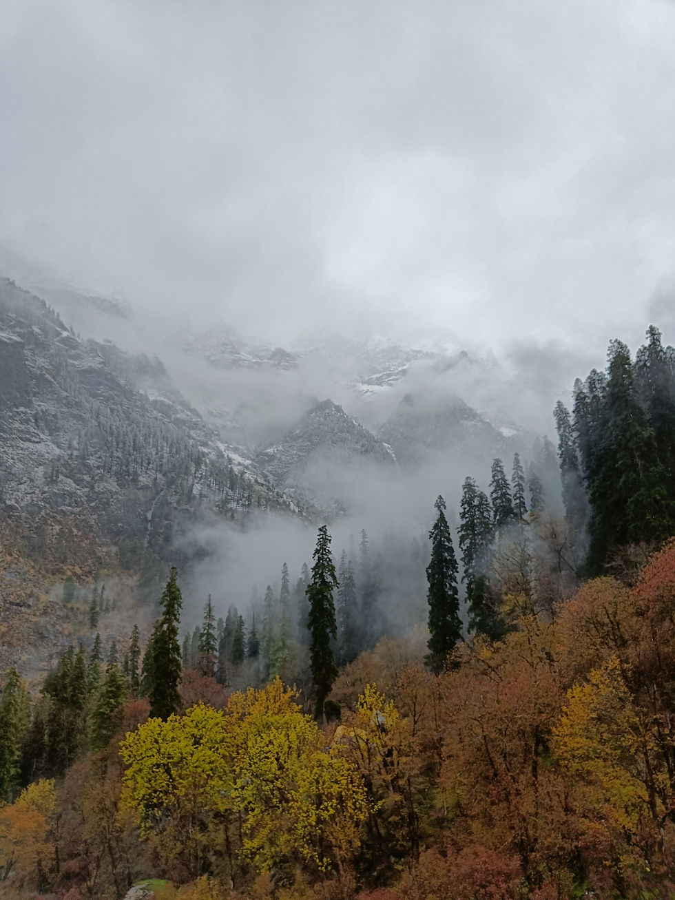 Breathtaking Kheerganga Top Point