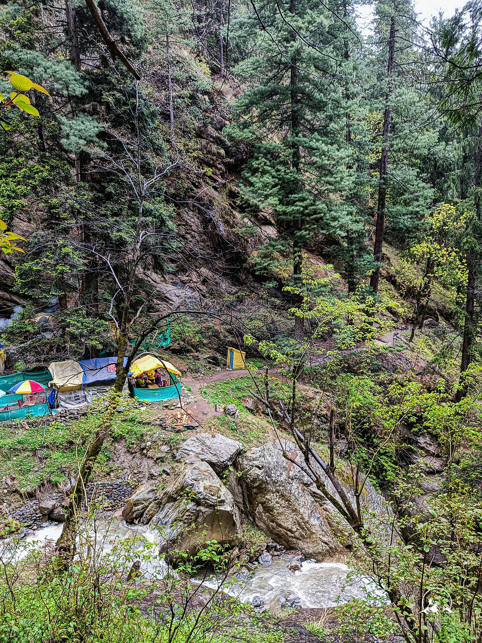 Kheerganga Trails View