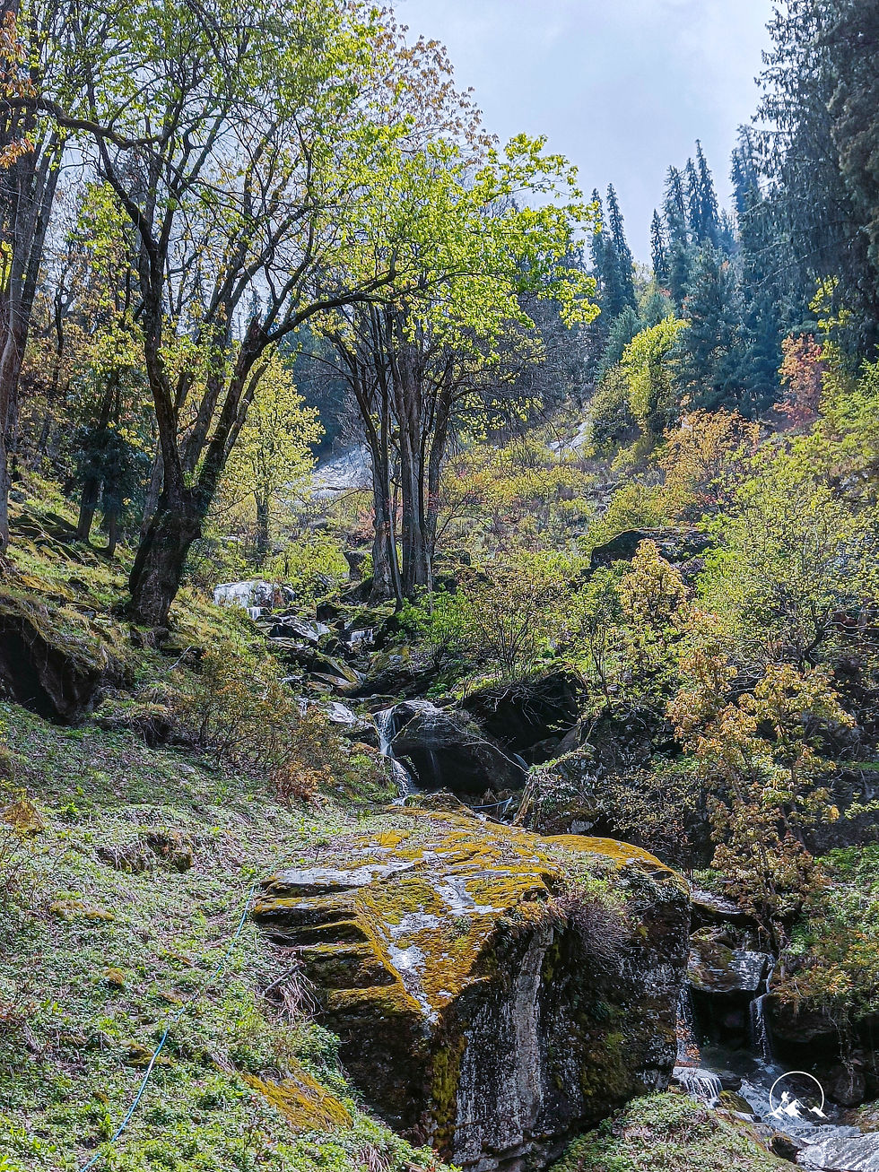 Kheerganga Trails View